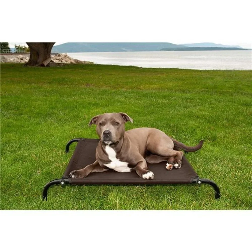 Reinforced & Elevated Cot Dog Bed w/ High-Airflow Cooling - Espresso, Small